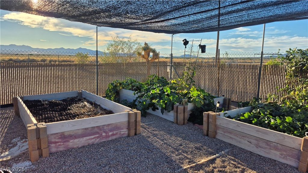 2520 Silver Avenue, Sandy Valley, NV 89019 — photo 4