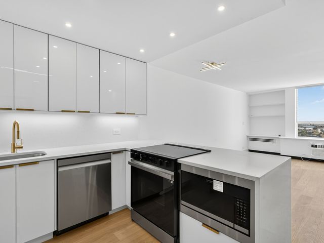 1455 N Sandburg Terrace 2403, Chicago, IL 60610