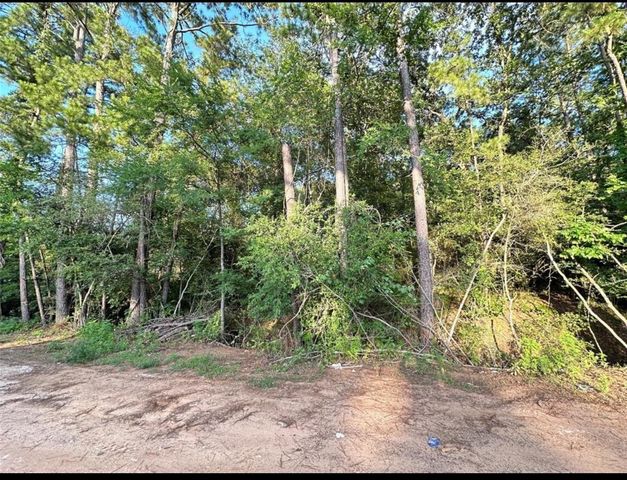 13 Scarlet Oak Dr, Plantersville, TX 77363