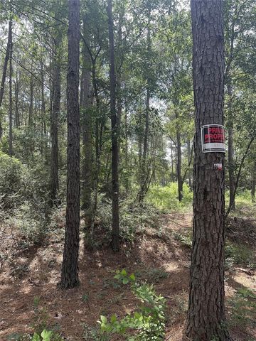 13 Scarlet Oak Dr, Plantersville, TX 77363
