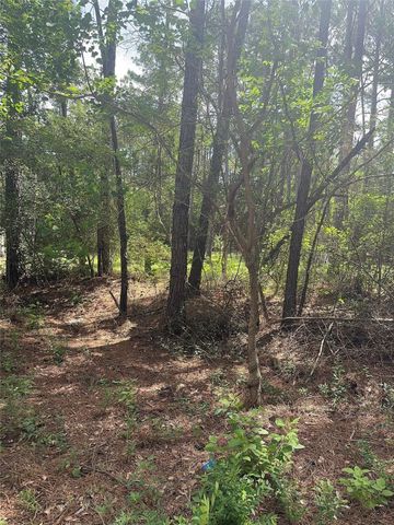 13 Scarlet Oak Dr, Plantersville, TX 77363