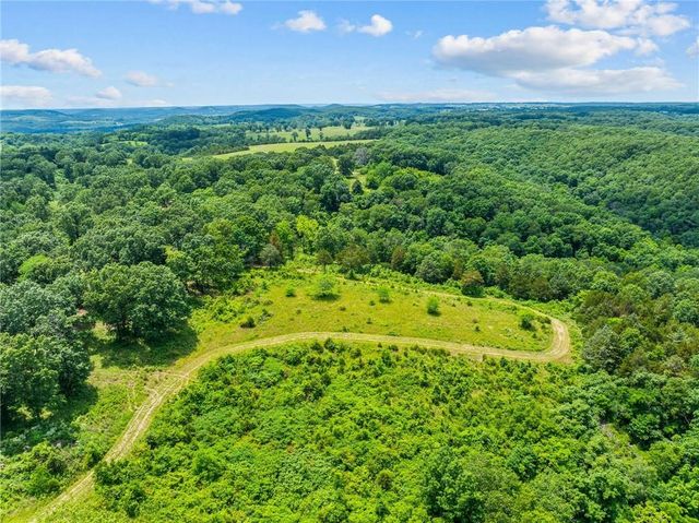 2313 Flat Creek Road, Cape Fair, MO 65624
