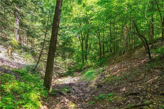 2313 Flat Creek Road, Cape Fair, MO 65624