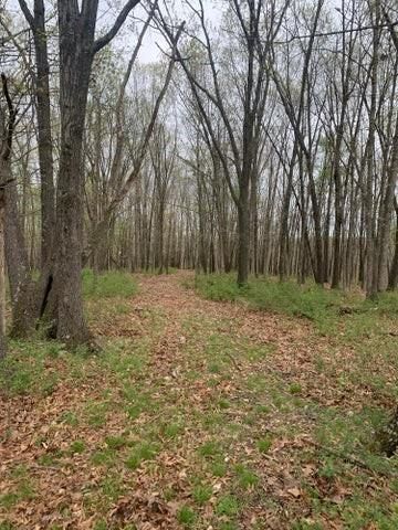 2313 Flat Creek Road, Cape Fair, MO 65624