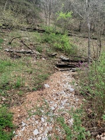 2313 Flat Creek Road, Cape Fair, MO 65624