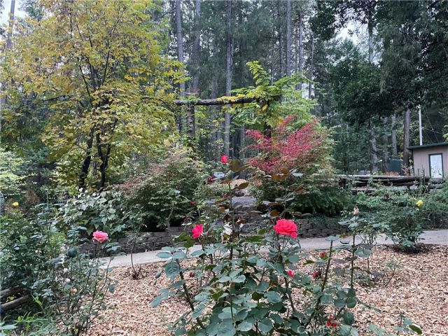 5937 Fern Glenn, Magalia, CA 95954