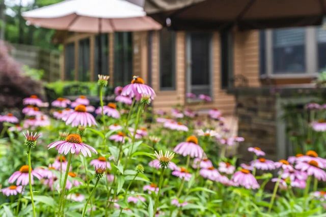 3705 Higbee Woods Court, Lexington, KY 40503