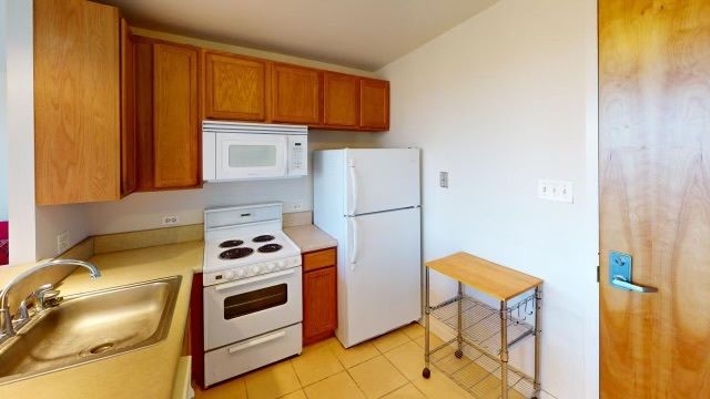 345 E Eastgate Place 304, Chicago, IL 60616