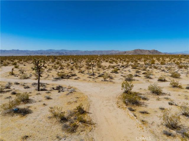 61900 Moonlight Mesa, Joshua Tree, CA 92252