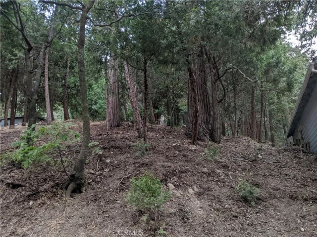 0 Wildwood, Crestline, CA 92325