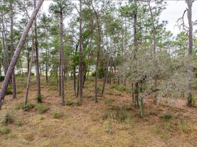 1370 COURTLAND BLVD, Deltona, FL 32738