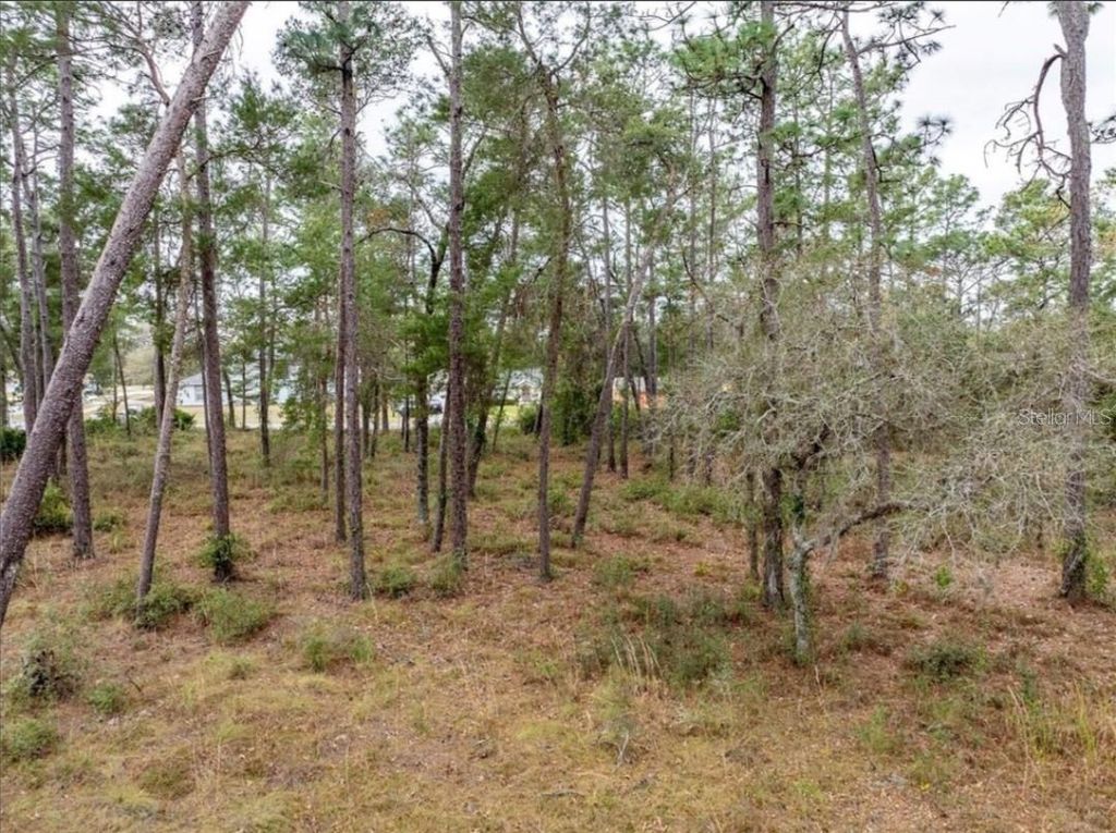 Image 9 of property listing at 1370 COURTLAND BLVD, Deltona, FL 32738