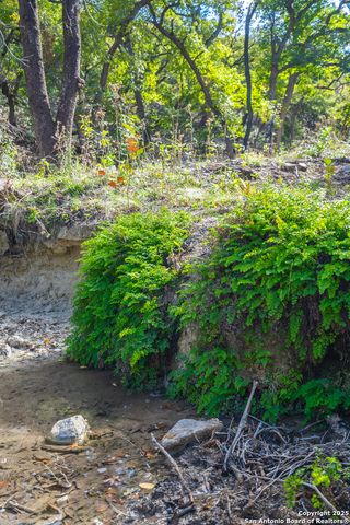 TBD US Hwy 83, Leakey, TX 78873
