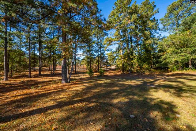 105 Tucker Drive, Leesville, SC 29070