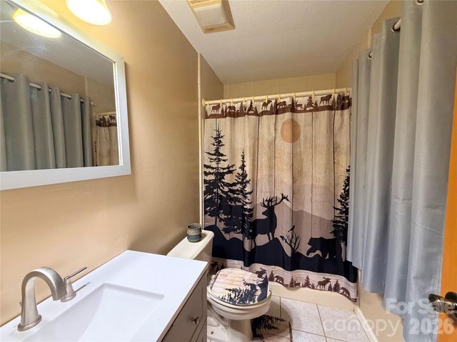 2778 Mule Stomp Road, Hot Springs, NC 28721