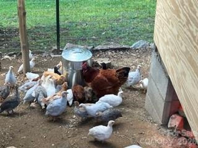 2778 Mule Stomp Road, Hot Springs, NC 28721