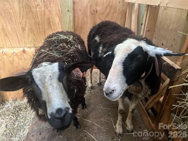 2778 Mule Stomp Road, Hot Springs, NC 28721