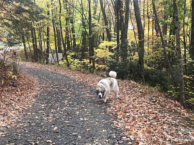 2778 Mule Stomp Road, Hot Springs, NC 28721