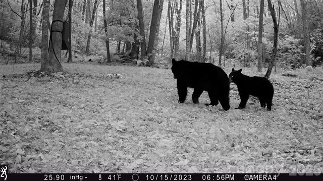 2778 Mule Stomp Road, Hot Springs, NC 28721