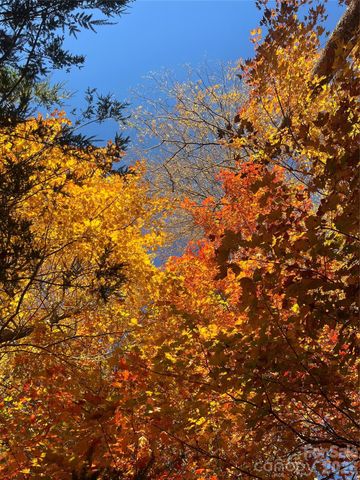 2778 Mule Stomp Road, Hot Springs, NC 28721