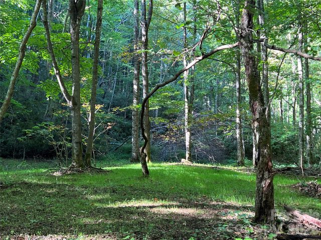 2778 Mule Stomp Road, Hot Springs, NC 28721