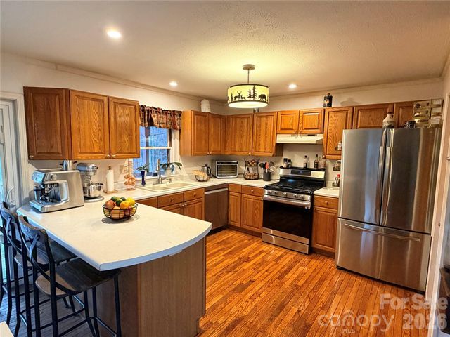 2778 Mule Stomp Road, Hot Springs, NC 28721