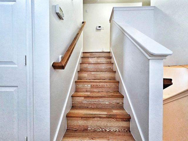 127 Anise Tree Place, The Woodlands, TX 77382