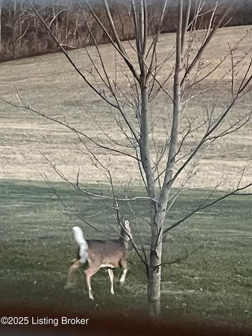 1233 Johnson Rd, Lawrenceburg, KY 40342