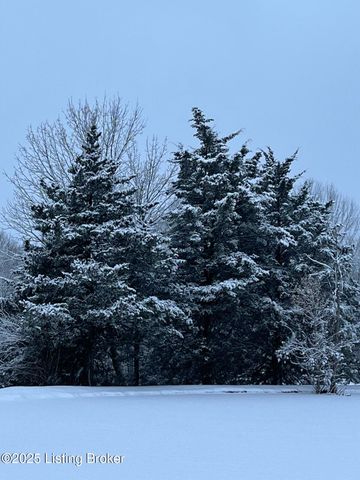 1233 Johnson Rd, Lawrenceburg, KY 40342