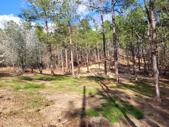 769 Chime Bell Church Road, Aiken, SC 29803