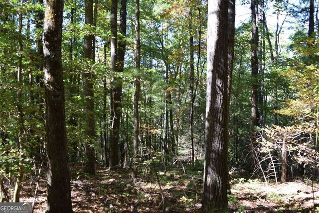 32.98 ACRES Zion Hill Road, Ellijay, GA 30540
