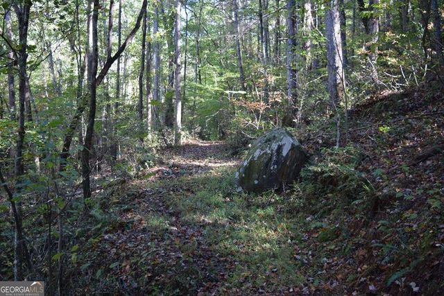 32.98 ACRES Zion Hill Road, Ellijay, GA 30540