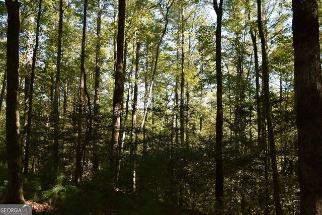 32.98 ACRES Zion Hill Road, Ellijay, GA 30540