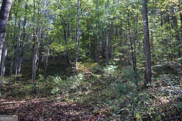 32.98 ACRES Zion Hill Road, Ellijay, GA 30540