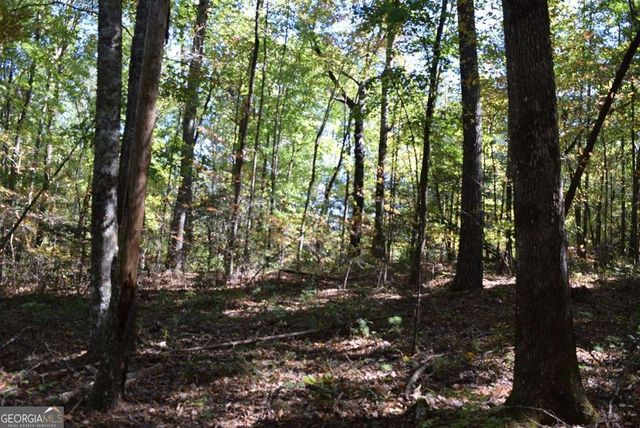 32.98 ACRES Zion Hill Road, Ellijay, GA 30540