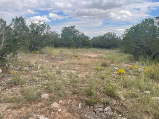 45 MORPER Lane, Edgewood, NM 87015