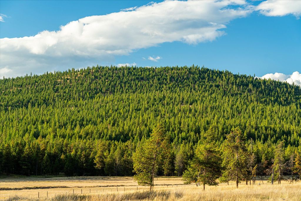 200 Hubbart Dam Road, Marion, MT 59925 photo 186