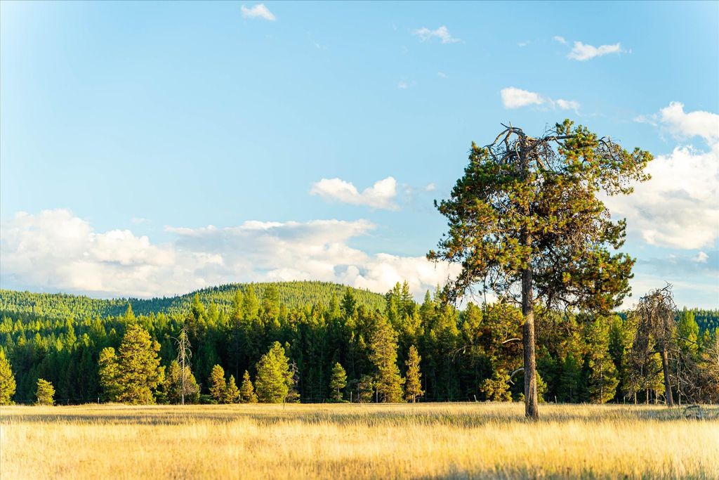 200 Hubbart Dam Road, Marion, MT 59925 photo 189