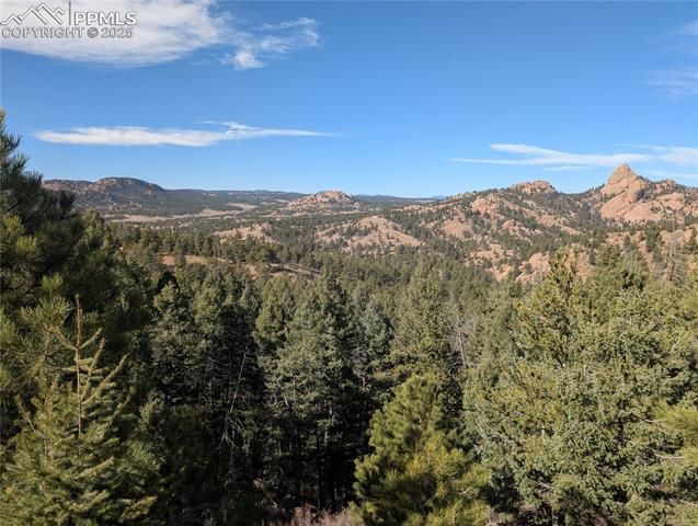 130 Lookout Road, Cripple Creek, CO 80813