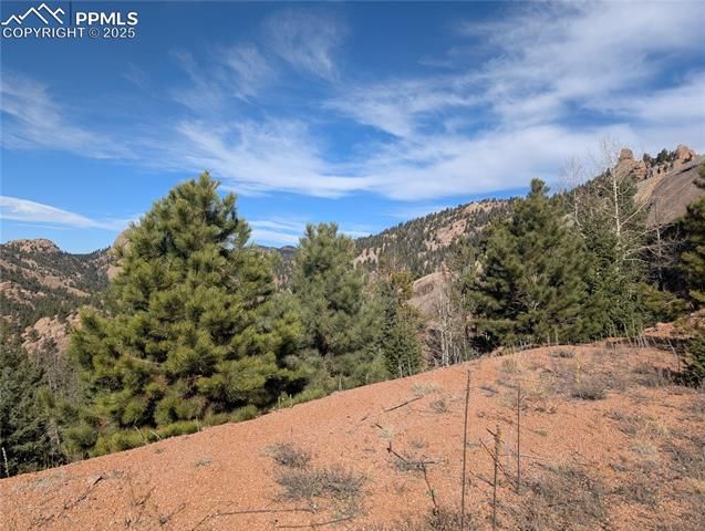 130 Lookout Road, Cripple Creek, CO 80813