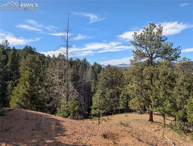 130 Lookout Road, Cripple Creek, CO 80813