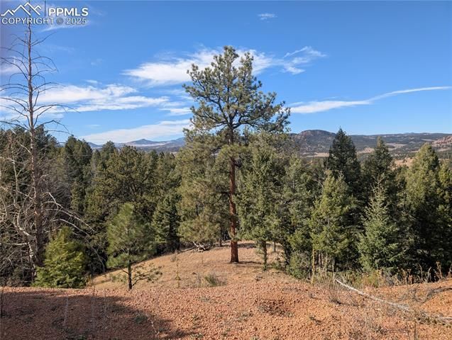 130 Lookout Road, Cripple Creek, CO 80813