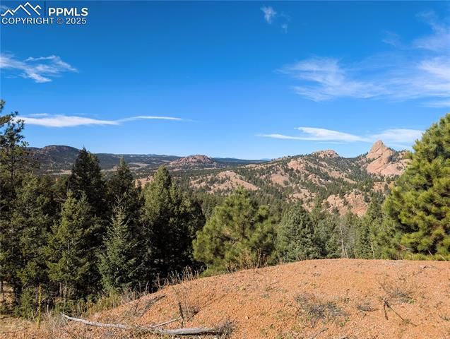 130 Lookout Road, Cripple Creek, CO 80813