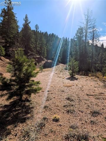 130 Lookout Road, Cripple Creek, CO 80813