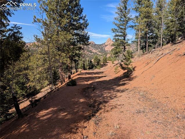 130 Lookout Road, Cripple Creek, CO 80813