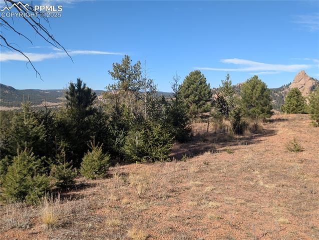 130 Lookout Road, Cripple Creek, CO 80813