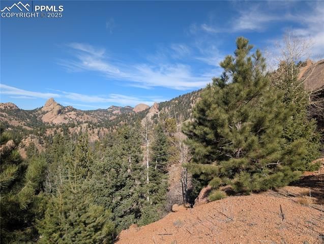130 Lookout Road, Cripple Creek, CO 80813