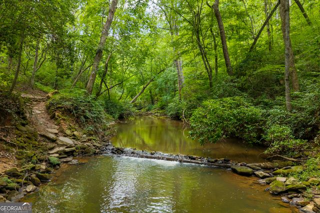 2374 Dean Mountain Road, Cleveland, GA 30528