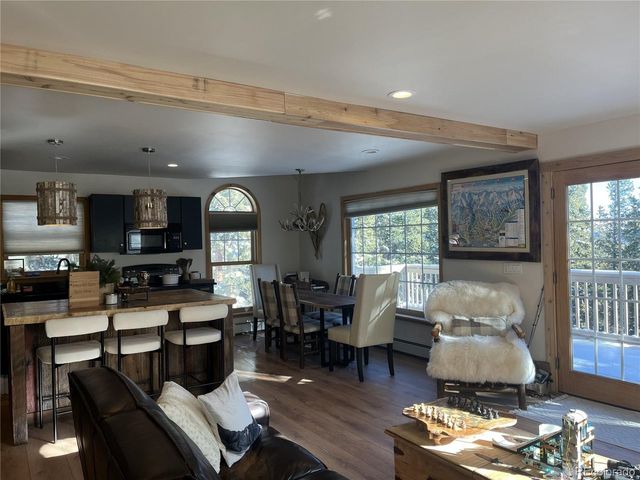 215 Bum Dr, Fairplay, CO 80440