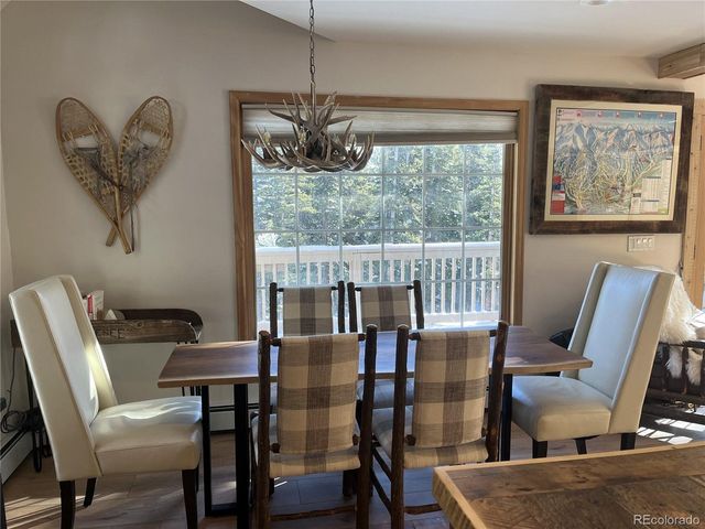 215 Bum Dr, Fairplay, CO 80440